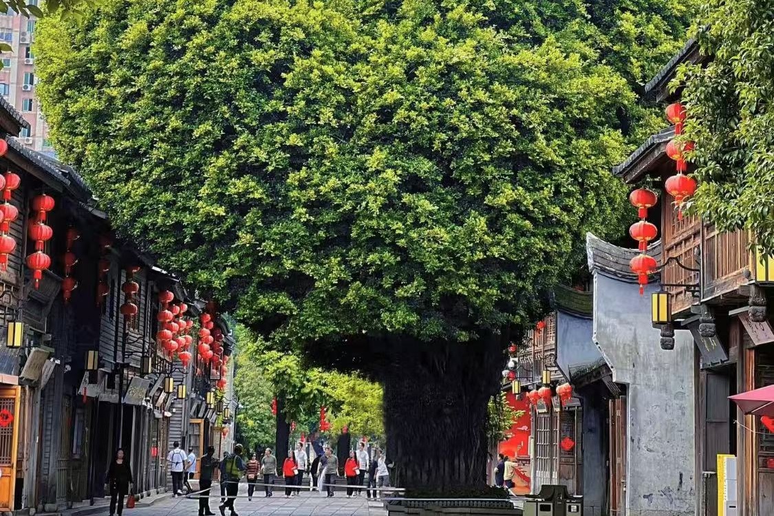 Three Lanes and Seven Alleys